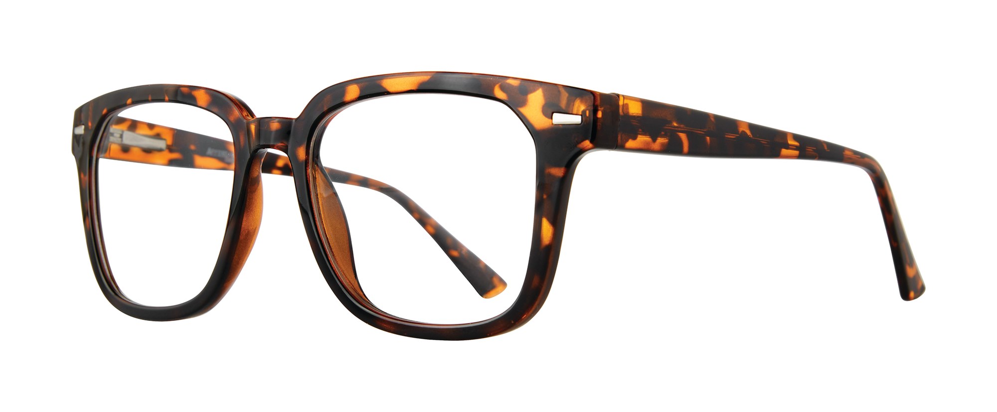 Aldo frame in Tortoise