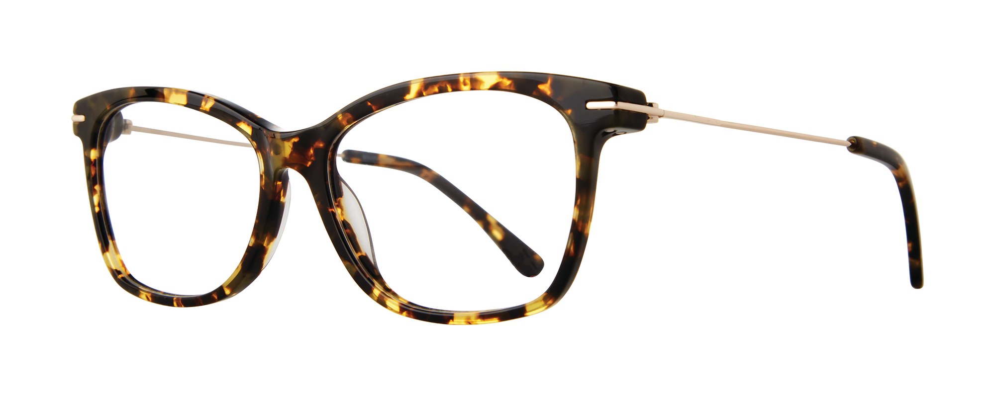 Alina frame in Tortoise