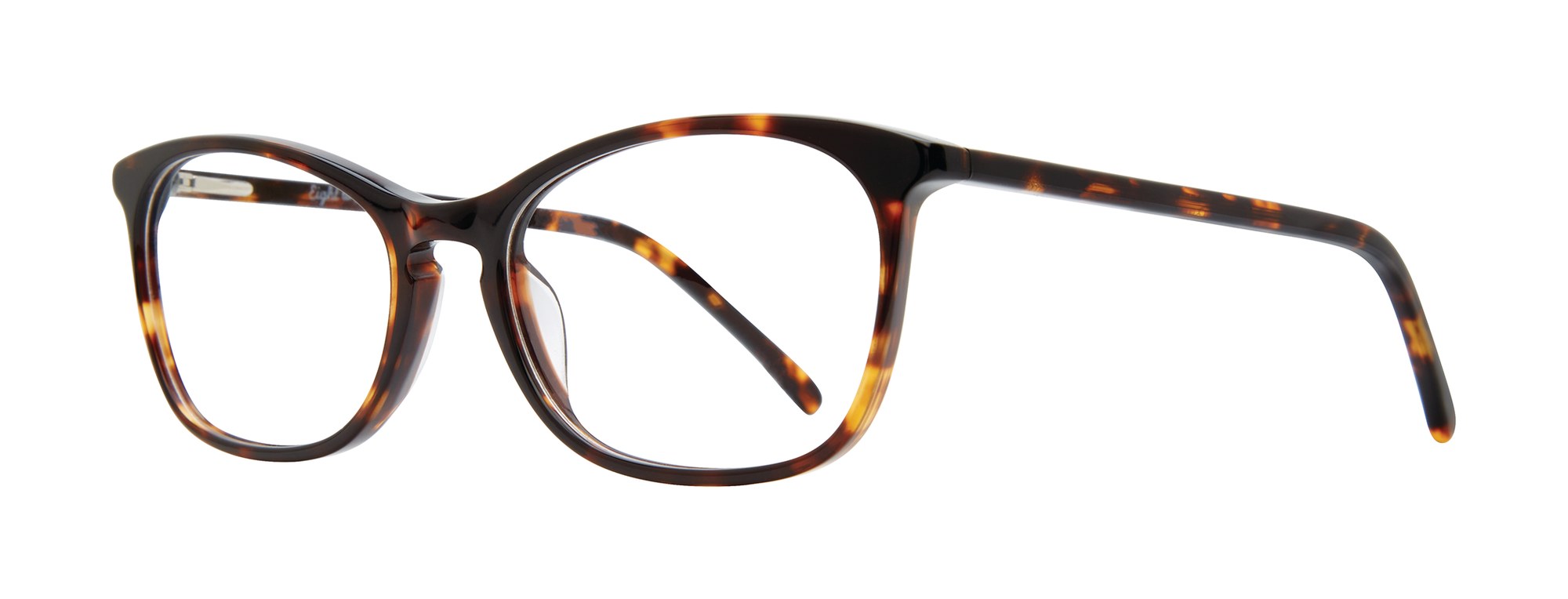 Barbie frame in Tortoise