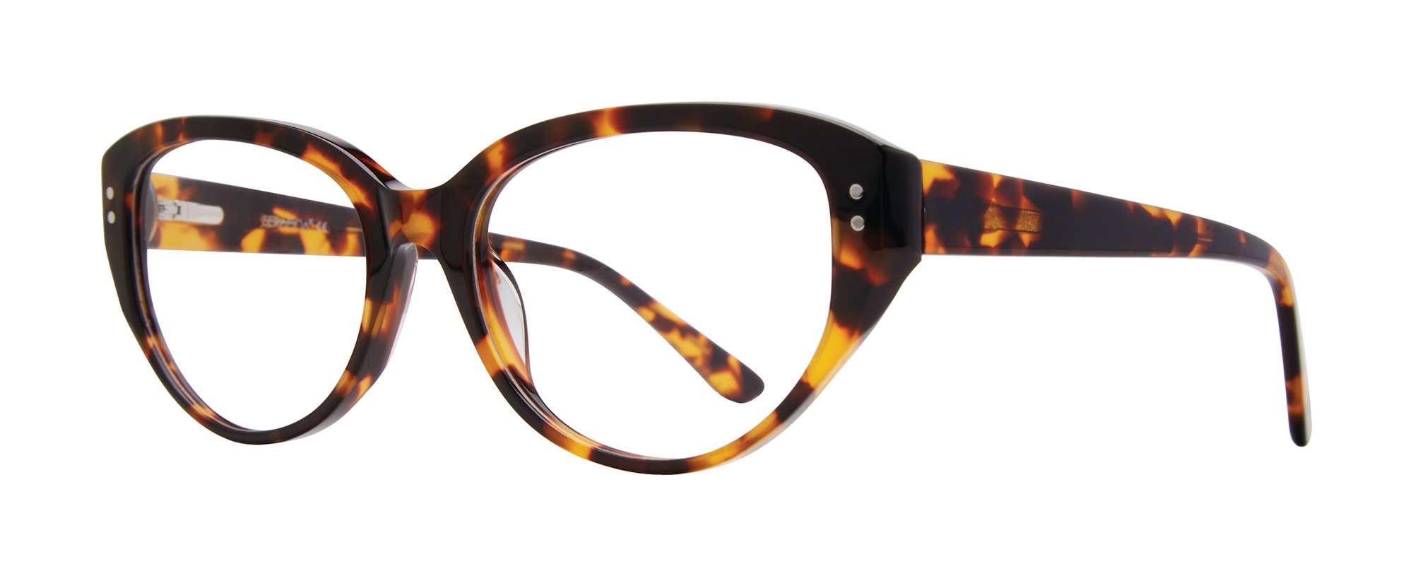 Beverly frame in Tortoise