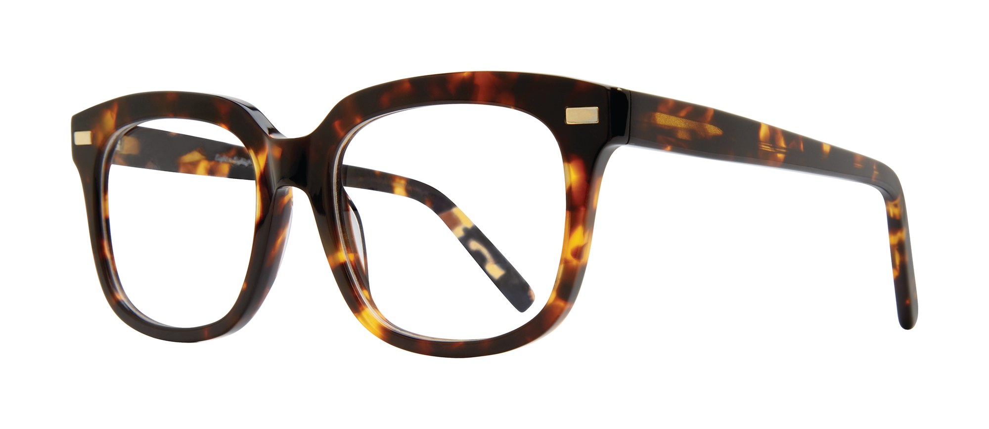 Brady frame in Tortoise
