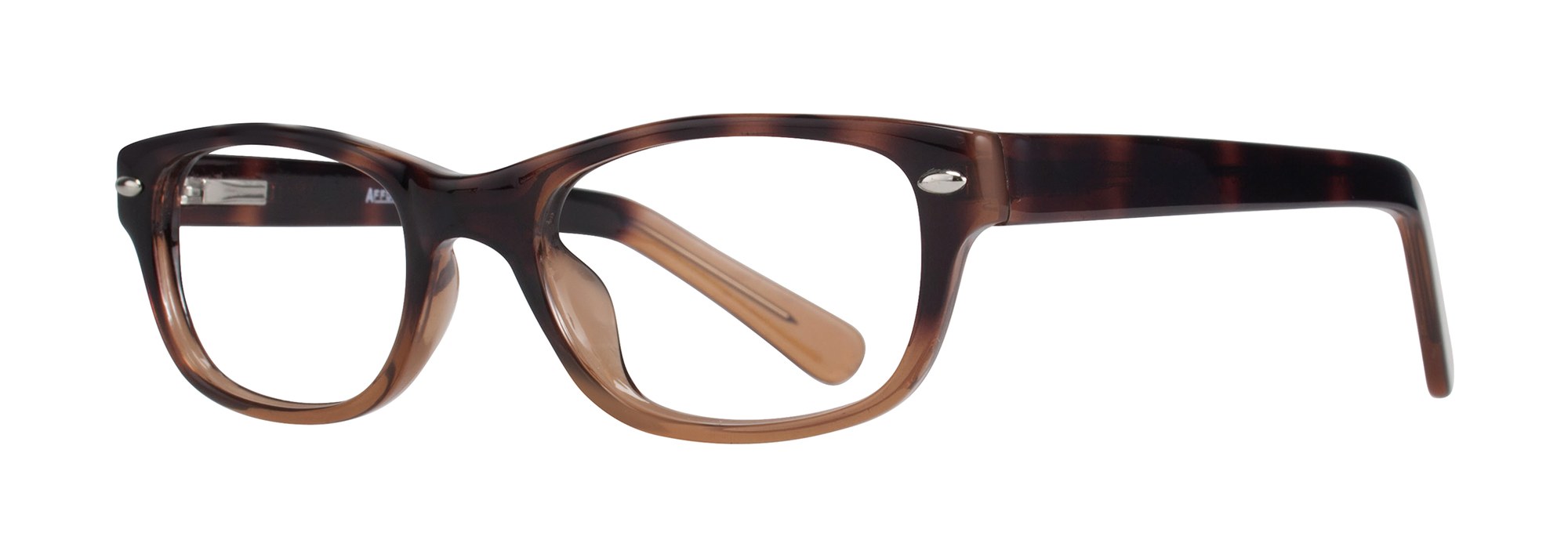 Bronx frame in Tortoise