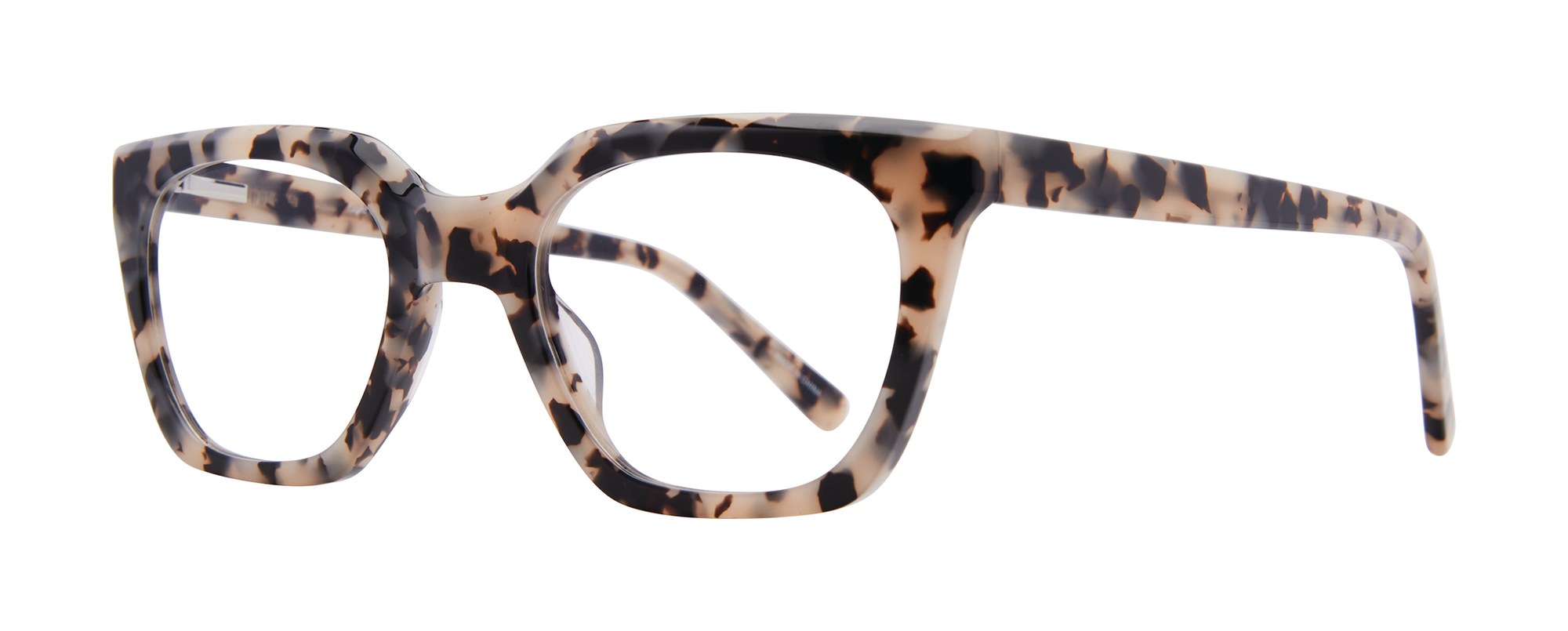 Danica frame in Tokyo Tortoise