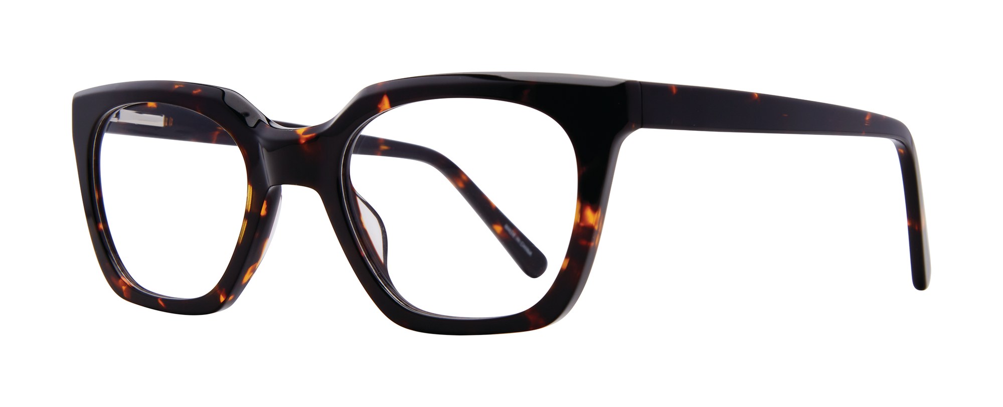 Danica frame in Tortoise