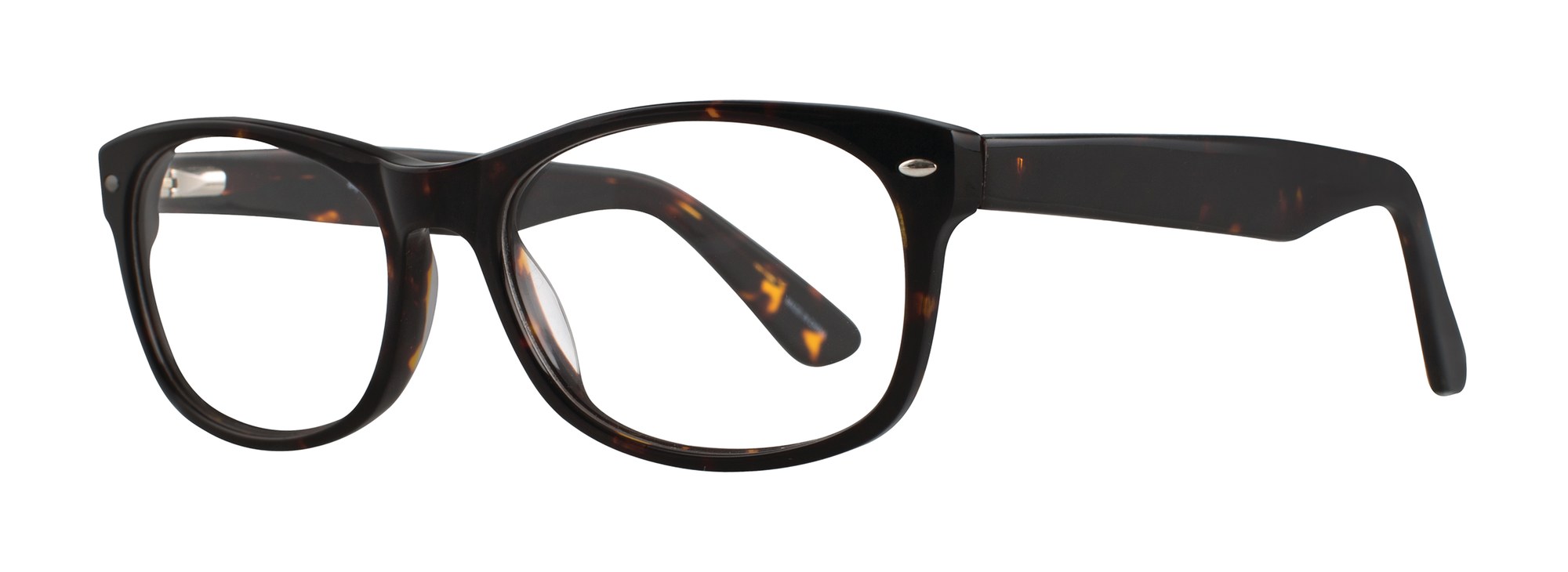 Donald frame in Tortoise