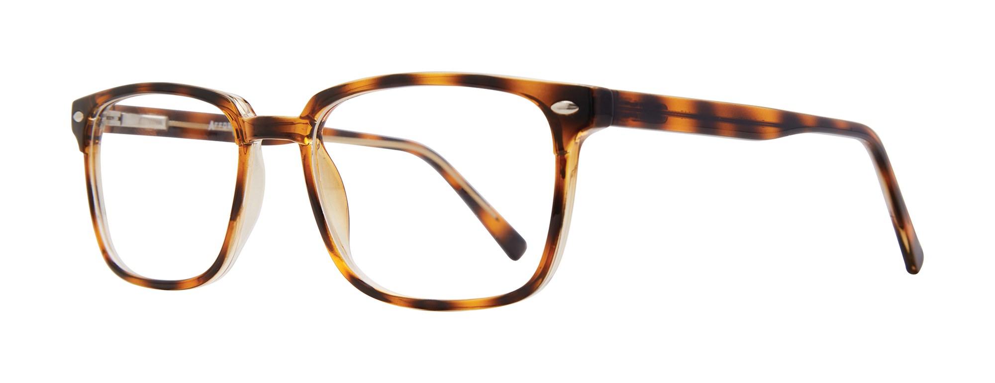 Dwight frame in Tortoise