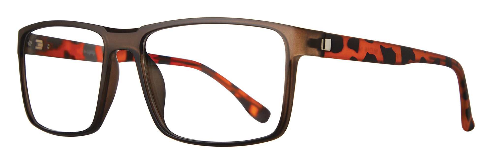 Enzo frame in Tortoise