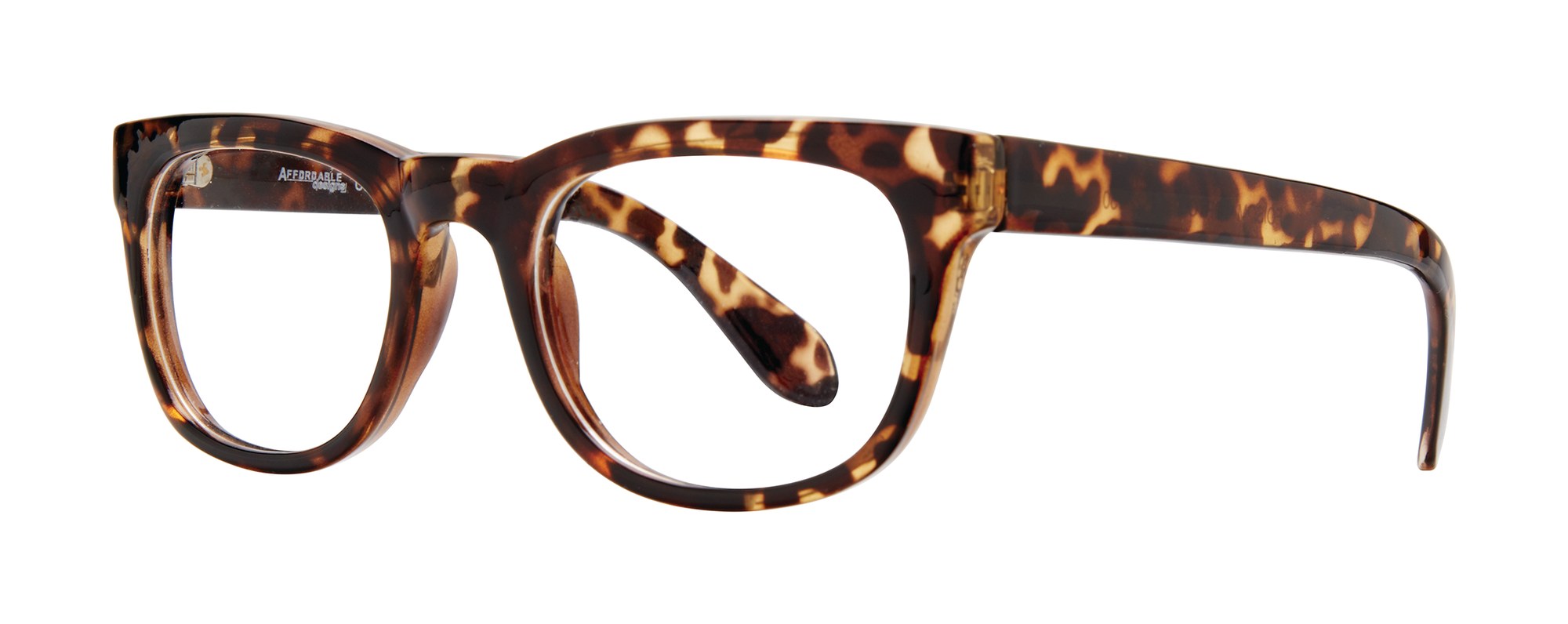 Folsom frame in Tortoise