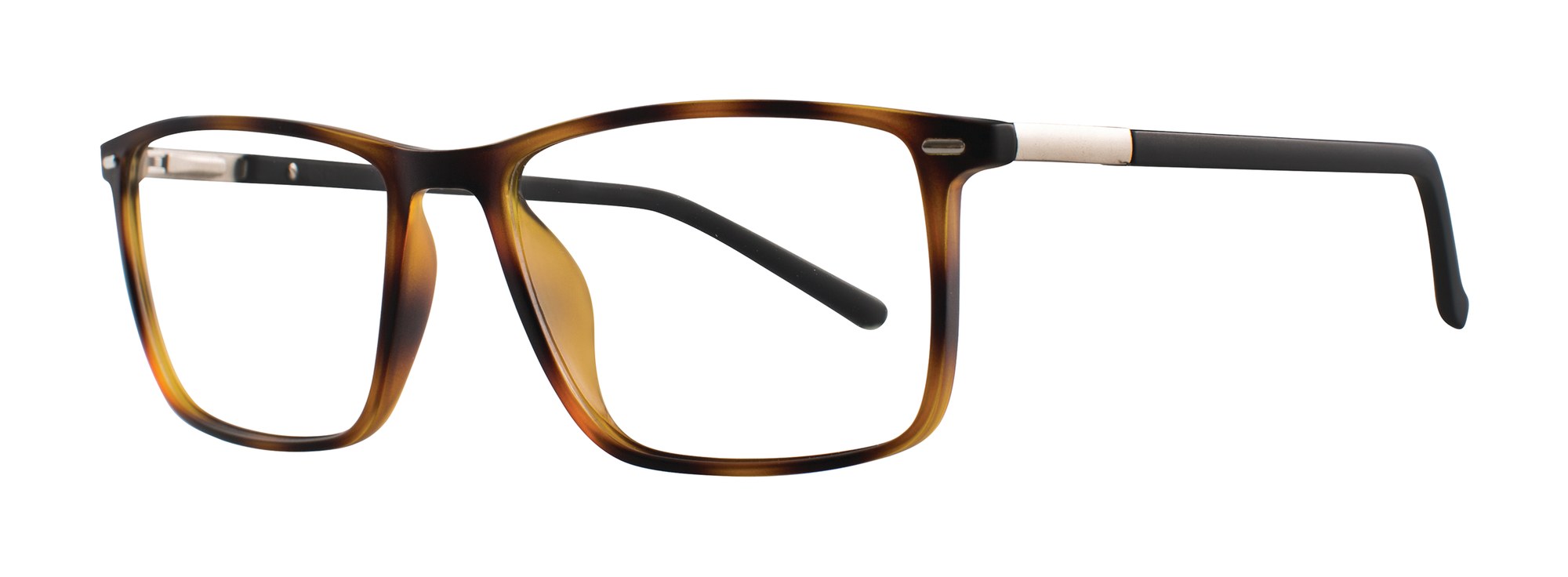 Gary frame in Tortoise