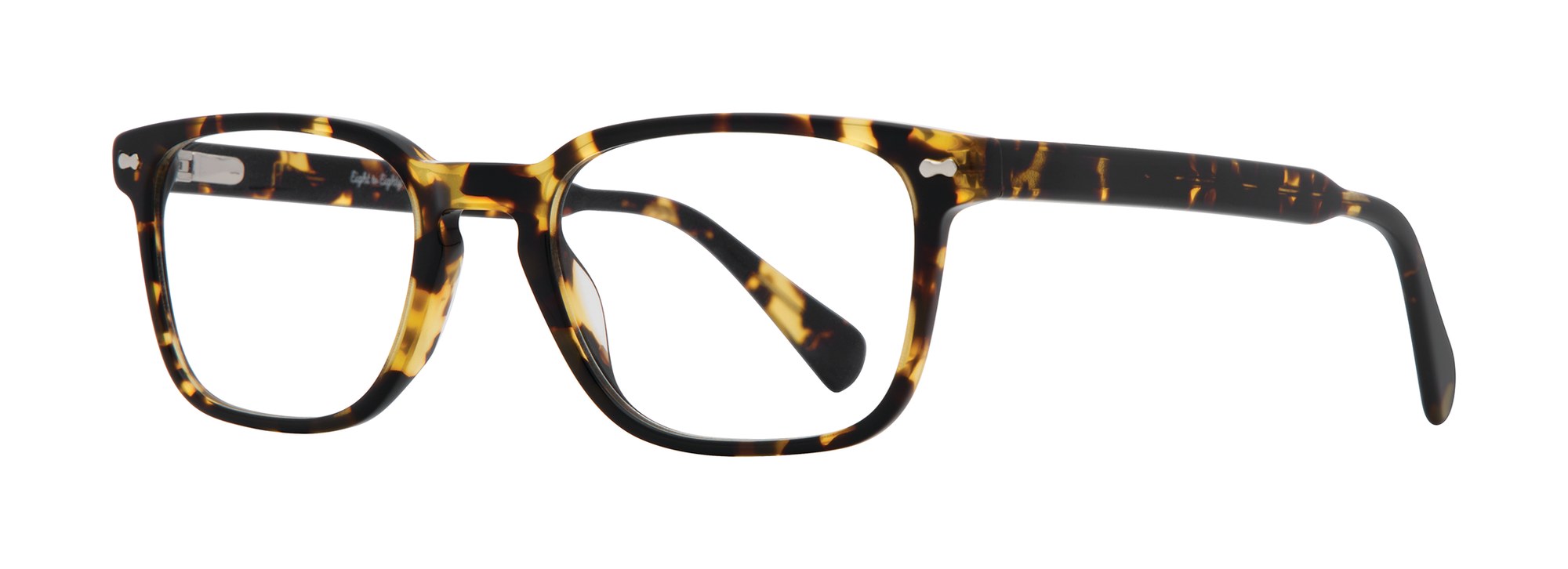 Hector in Tortoise
