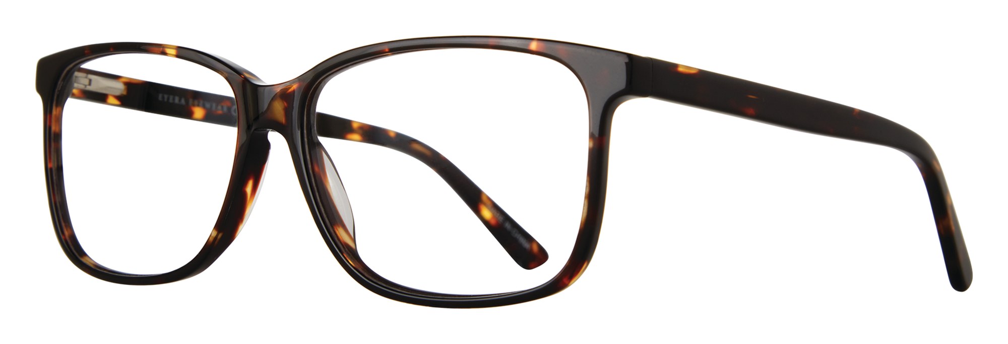 Jeremy frame in Tortoise
