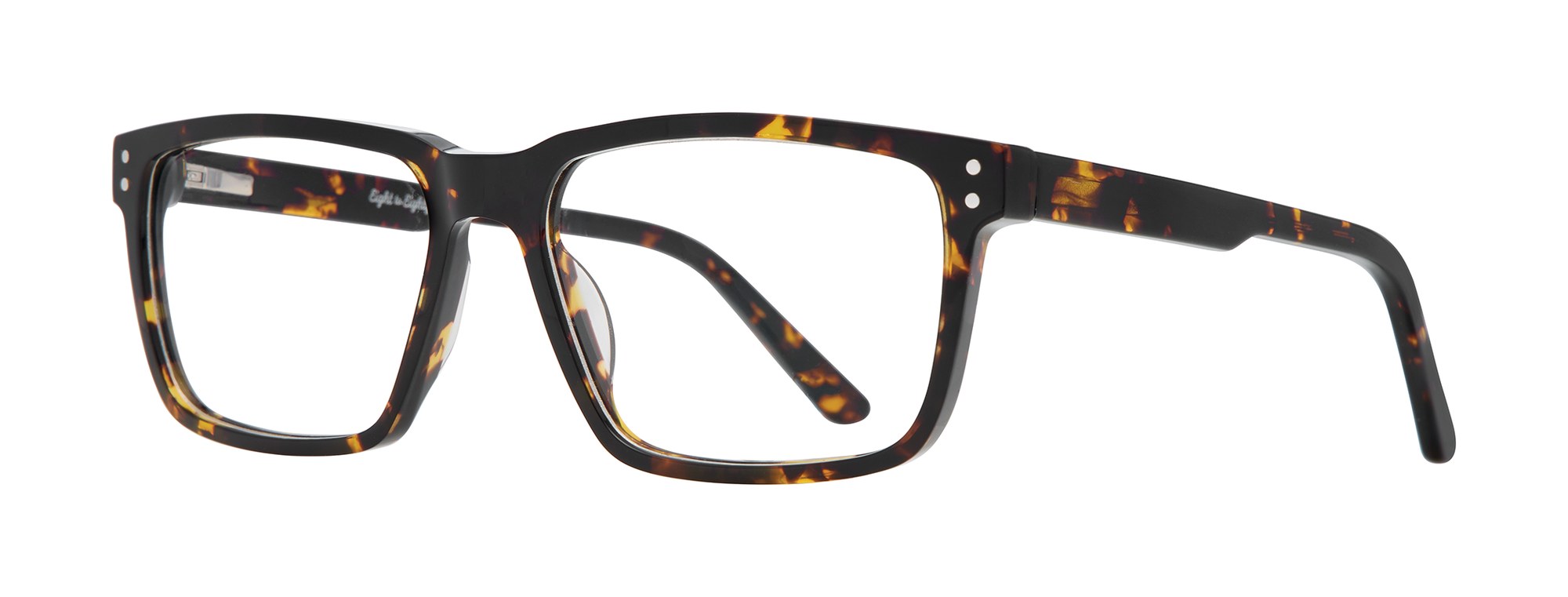 Maksim in Tortoise
