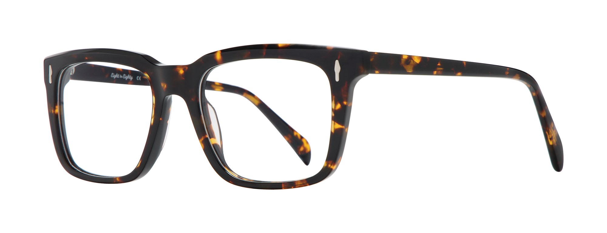 Marcus in Tortoise