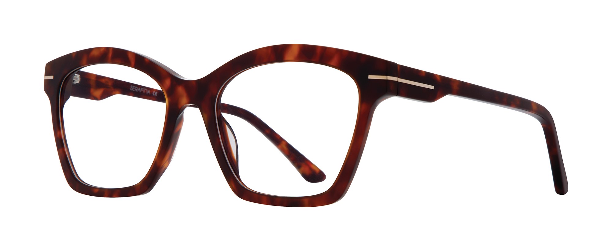 Meg frame in Tortoise