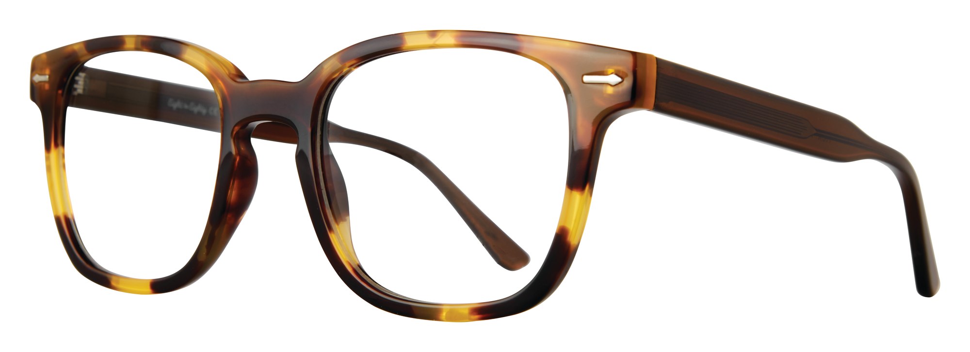 Rex frame in Tortoise