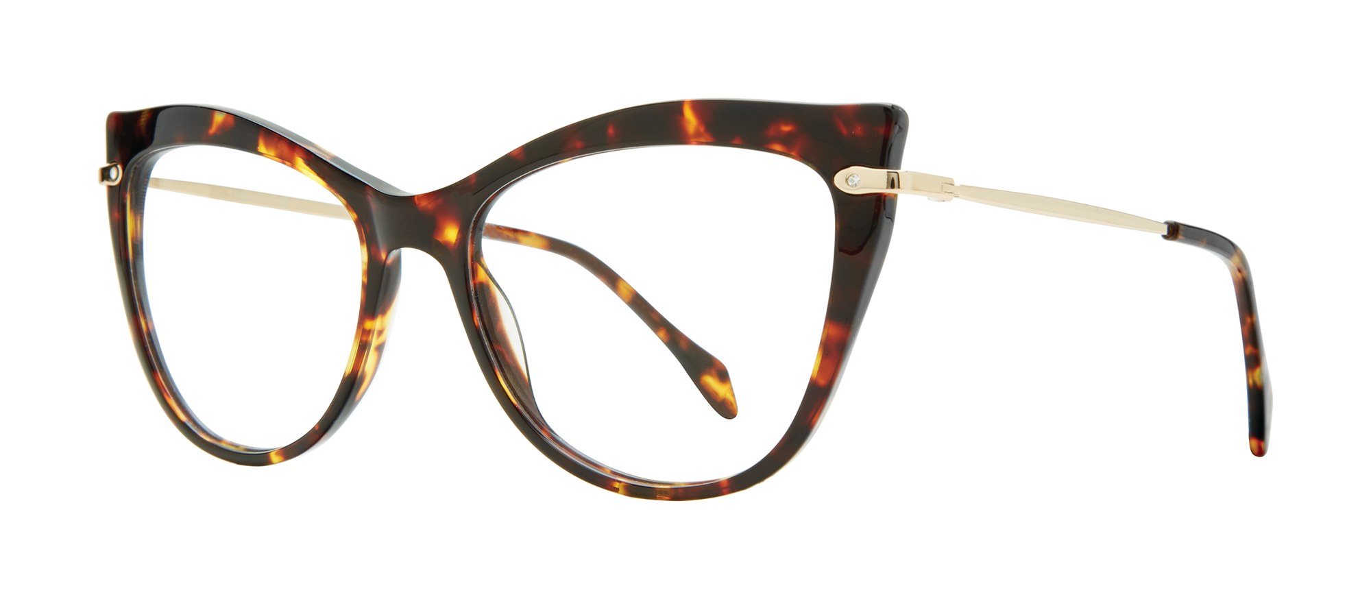 Susan frame in Tortoise