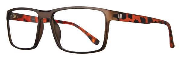 Enzo frame in Tortoise