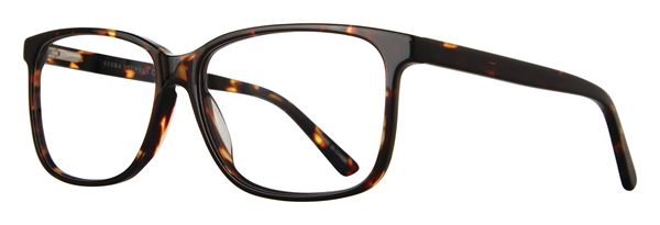 Jeremy frame in Tortoise