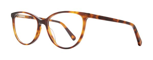 Kitty frame in Tortoise