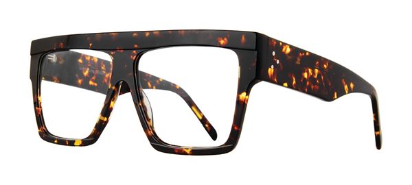 Raj frame in Tortoise