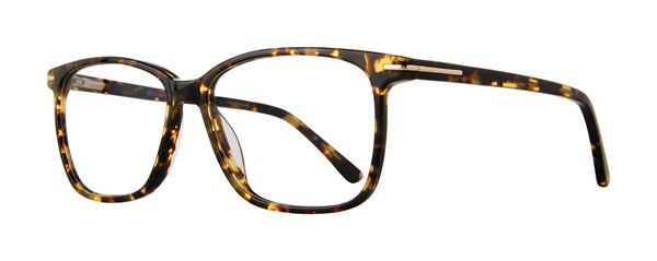Silas frame in Tortoise