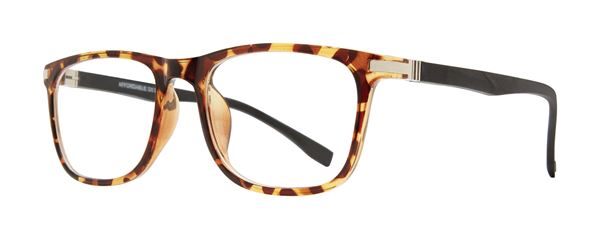 Spencer frame in Tortoise