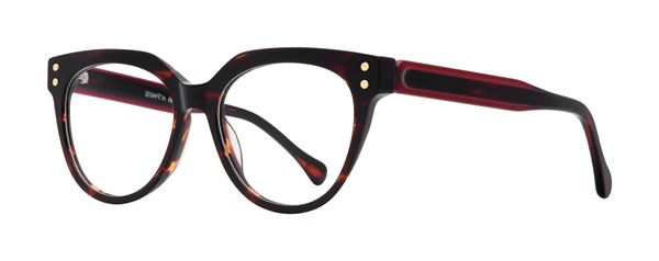 Zsa Zsa in Tortoise